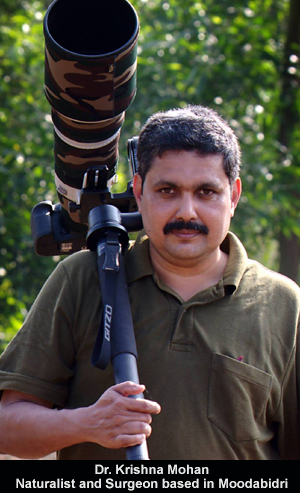 Dr Krishna Mohan